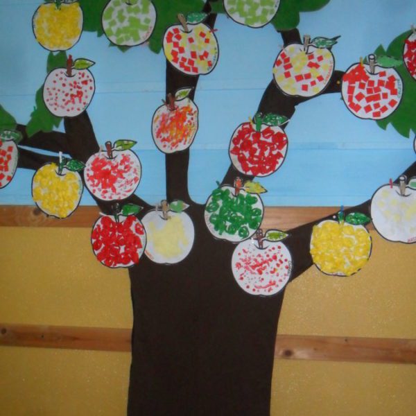 SAM_6302